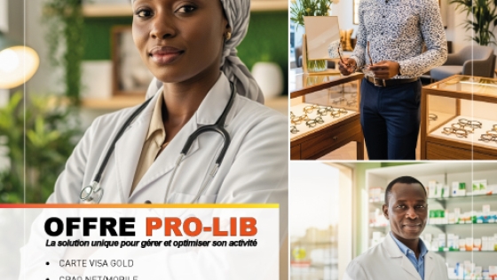 Offre prolib